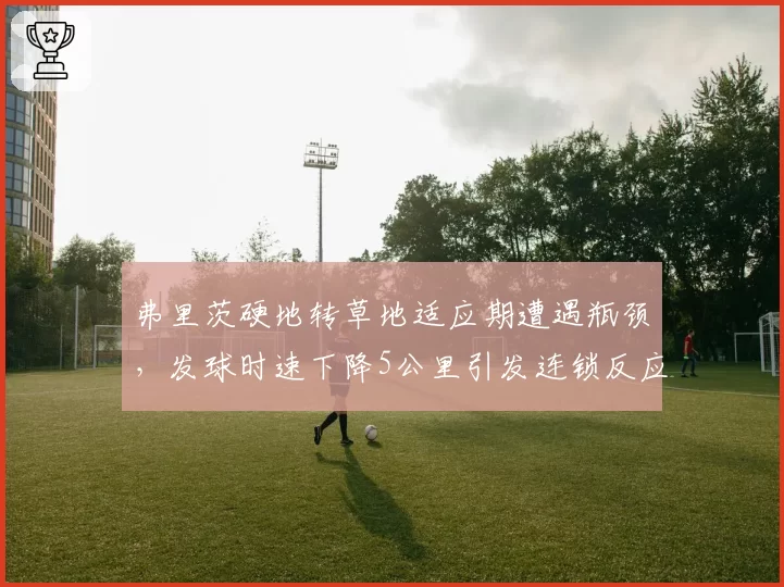 弗里茨硬地转草地适应期遭遇瓶颈，发球时速下降5公里引发连锁反应