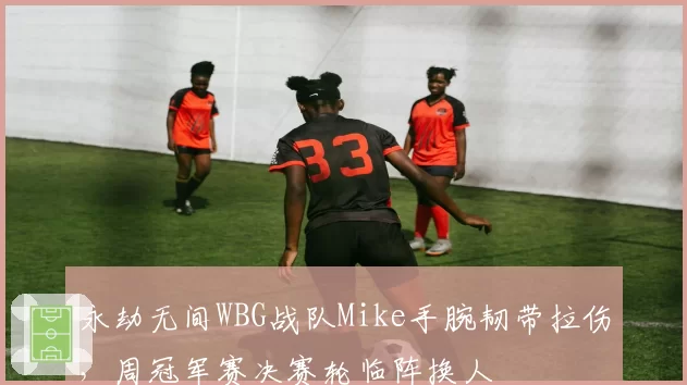 永劫无间WBG战队Mike手腕韧带拉伤,周冠军赛决赛轮临阵换人