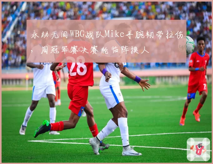 永劫无间WBG战队Mike手腕韧带拉伤，周冠军赛决赛轮临阵换人
